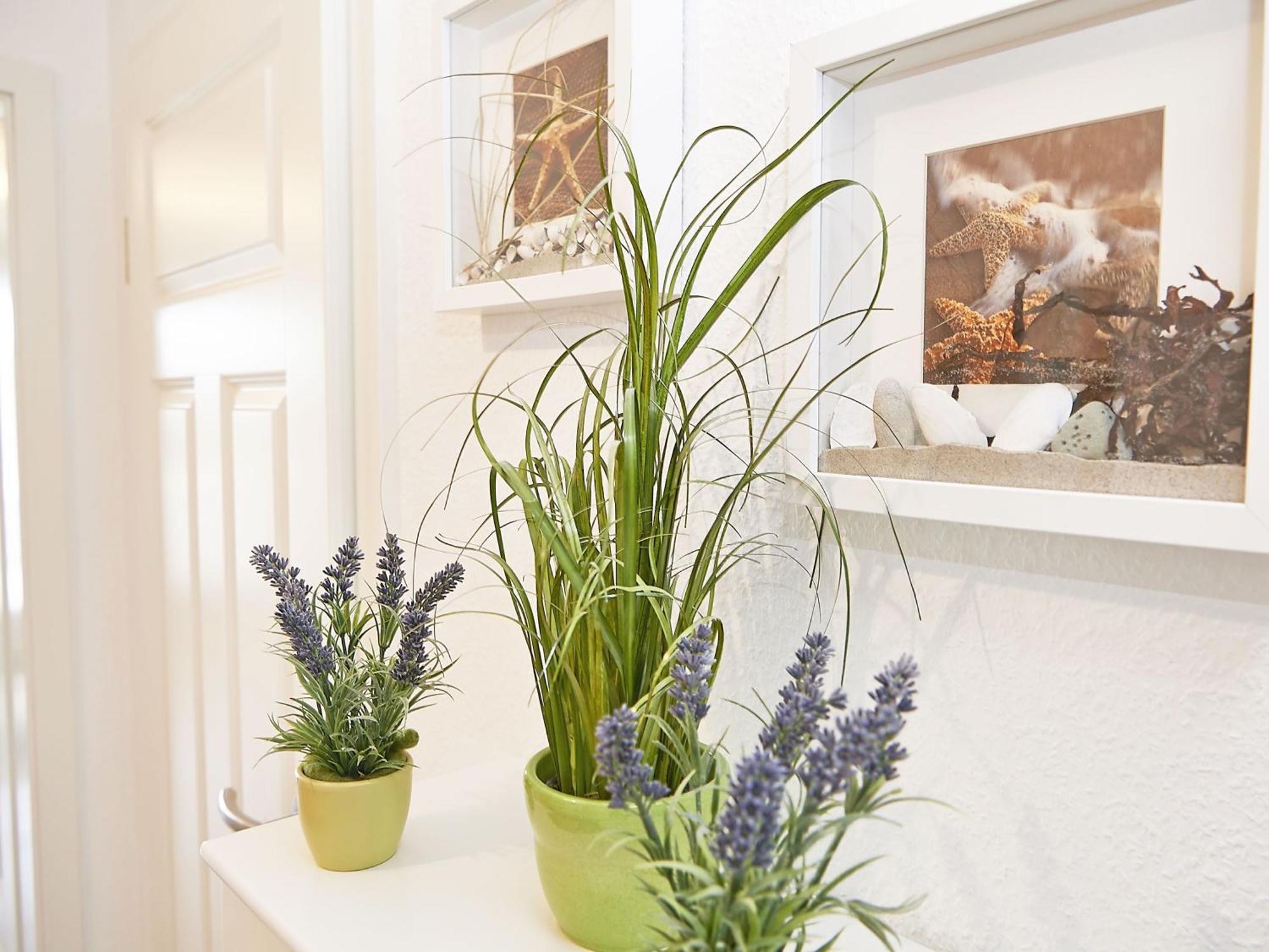 Wohnpark Stadt Hamburg - Apt. 50 Binz Eksteriør billede